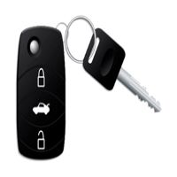 SaveRent System 2 car key