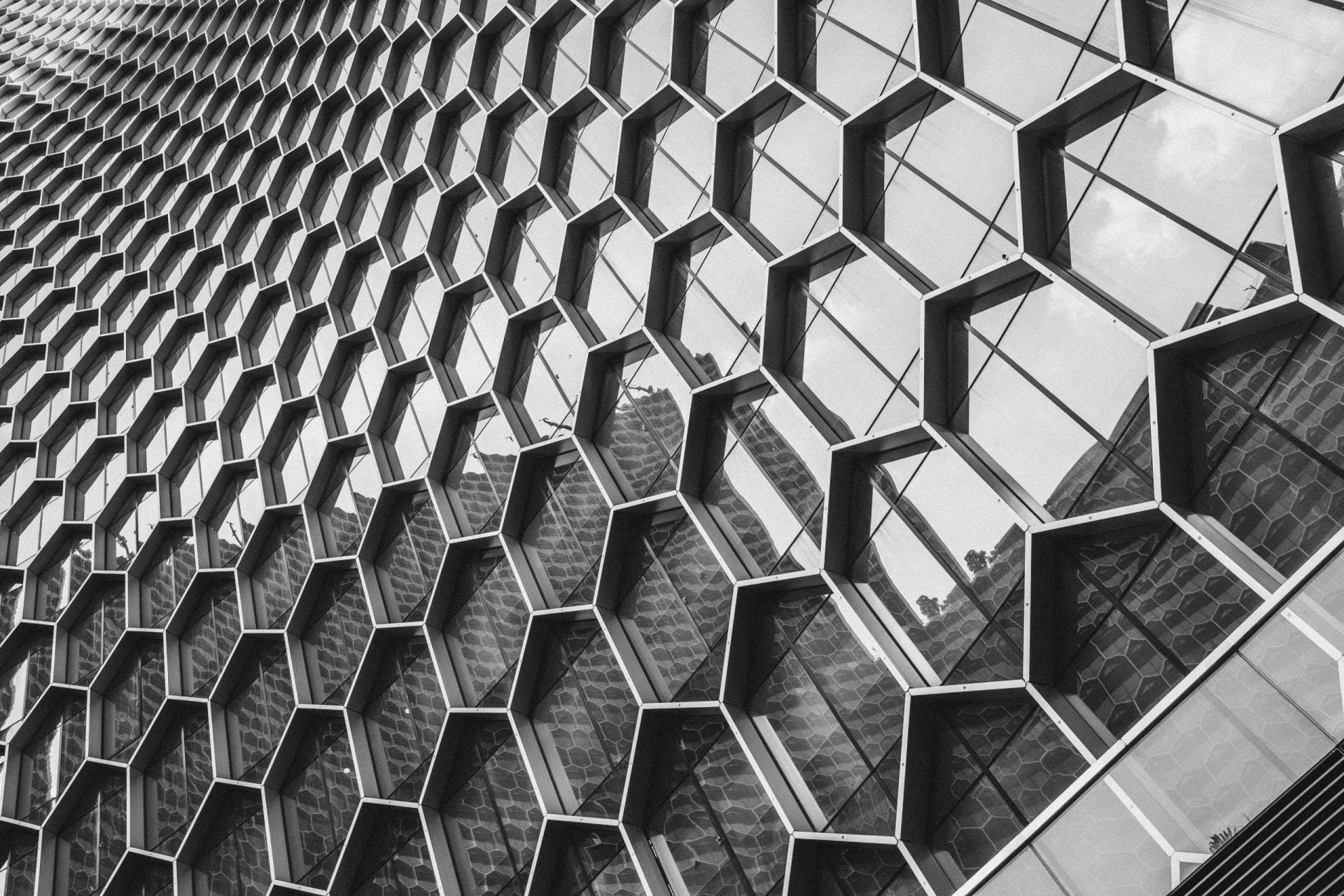 pexels-soloman-soh-1492232 pexels soloman soh 1492232 scaled